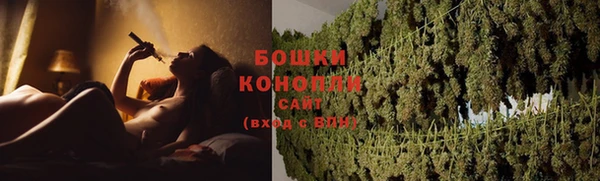 соль ск Козельск