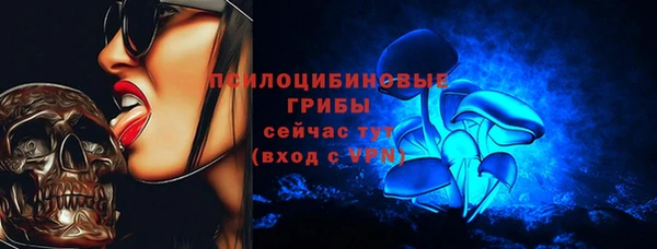 соль ск Козельск