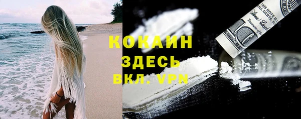 соль ск Козельск