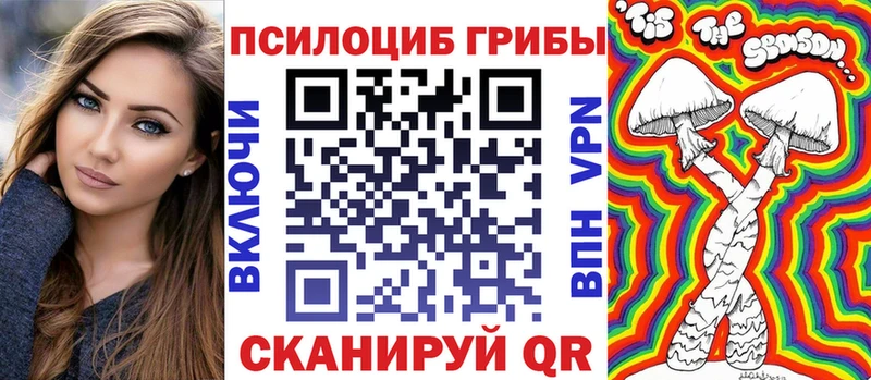 Купить где  Красавино  Псилоцибиновые грибы Psilocybine cubensis 
